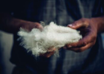 A passion for wool, a love for the world
