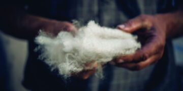 A passion for wool, a love for the world