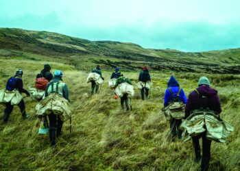 Making a strong stand for sustainability